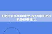 白色柳絮是柳树的什么,春天飘得白色柳絮是柳树的什么