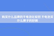 购买什么品牌的干电池比较好,干电池买什么牌子的好啊