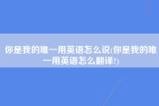 你是我的唯一用英语怎么说(你是我的唯一用英语怎么翻译?)