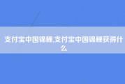 支付宝中国锦鲤,支付宝中国锦鲤获得什么