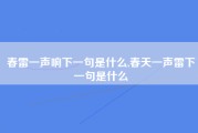 春雷一声响下一句是什么,春天一声雷下一句是什么