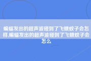 蝙蝠发出的超声波碰到了飞蛾蚊子会怎样,蝙蝠发出的超声波碰到了飞蛾蚊子会怎么