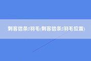 刺客信条2羽毛(刺客信条2羽毛位置)