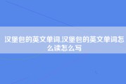 汉堡包的英文单词,汉堡包的英文单词怎么读怎么写