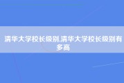 清华大学校长级别,清华大学校长级别有多高