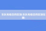 乐队和组合的区别(乐队和组合的区别在哪)