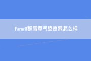 Parnell积雪草气垫效果怎么样