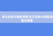 民生信用卡额度调整,民生信用卡额度调整在哪里