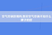 空气炸锅好用吗,想买空气炸锅不知什么牌子的好