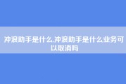 冲浪助手是什么,冲浪助手是什么业务可以取消吗