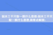 弱水三千只取一瓢什么意思(弱水三千只取一瓢什么意思,简单点解释)