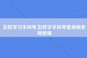 怎样学习手风琴,怎样学手风琴看视频老师授课