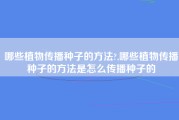 哪些植物传播种子的方法?,哪些植物传播种子的方法是怎么传播种子的