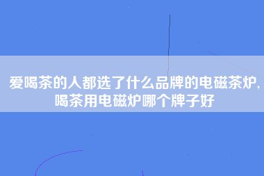 爱喝茶的人都选了什么品牌的电磁茶炉,喝茶用电磁炉哪个牌子好