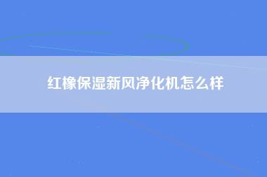 红橡保湿新风净化机怎么样