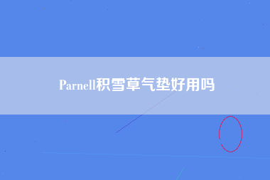 Parnell积雪草气垫好用吗