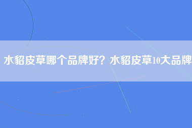 水貂皮草哪个品牌好？水貂皮草10大品牌