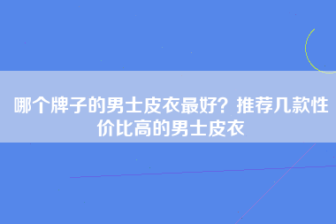 哪个牌子的男士皮衣最好？推荐几款性价比高的男士皮衣