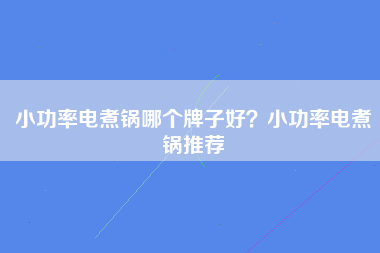 小功率电煮锅哪个牌子好？小功率电煮锅推荐