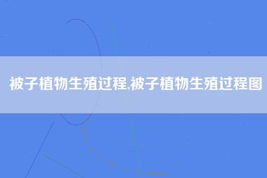 被子植物生殖过程,被子植物生殖过程图