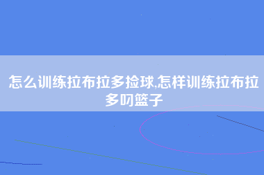 怎么训练拉布拉多捡球,怎样训练拉布拉多叼篮子