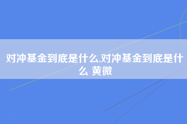 对冲基金到底是什么,对冲基金到底是什么 黄微