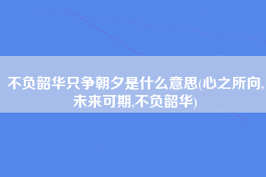 不负韶华只争朝夕是什么意思(心之所向,未来可期,不负韶华)