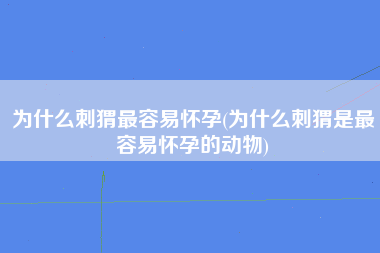 为什么刺猬最容易怀孕(为什么刺猬是最容易怀孕的动物)