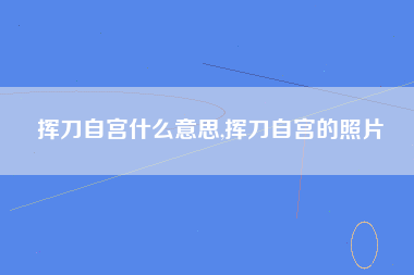 挥刀自宫什么意思,挥刀自宫的照片