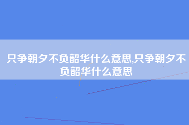 只争朝夕不负韶华什么意思,只争朝夕不负韶华什么意思