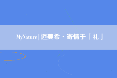 MyNature|迈美希·寄情于「礼」