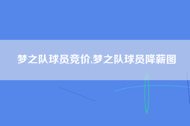 梦之队球员竞价,梦之队球员降薪图