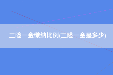 三险一金缴纳比例(三险一金是多少)