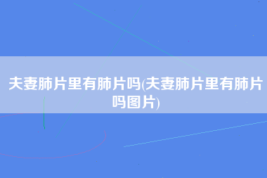 夫妻肺片里有肺片吗(夫妻肺片里有肺片吗图片)