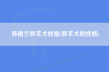 苏格兰牧羊犬性格(牧羊犬的性格)