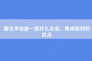 霖生木业是一家什么企业，集成板材的优点