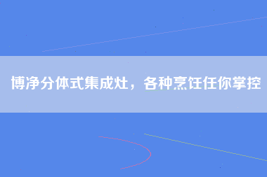 博净分体式集成灶，各种烹饪任你掌控