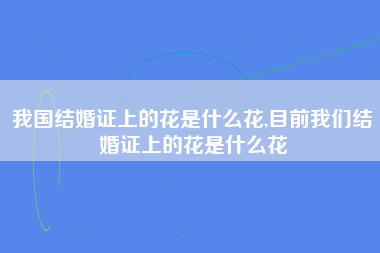 我国结婚证上的花是什么花,目前我们结婚证上的花是什么花