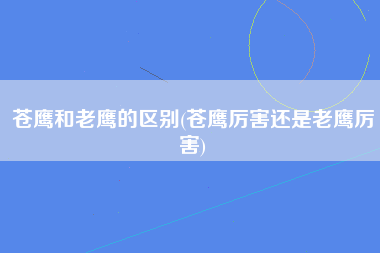 苍鹰和老鹰的区别(苍鹰厉害还是老鹰厉害)