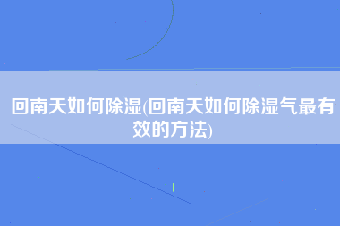 回南天如何除湿(回南天如何除湿气最有效的方法)