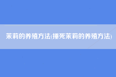 茉莉的养殖方法(捶死茉莉的养殖方法)