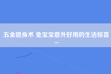 五金隐身术 兔宝宝意外好用的生活惊喜~